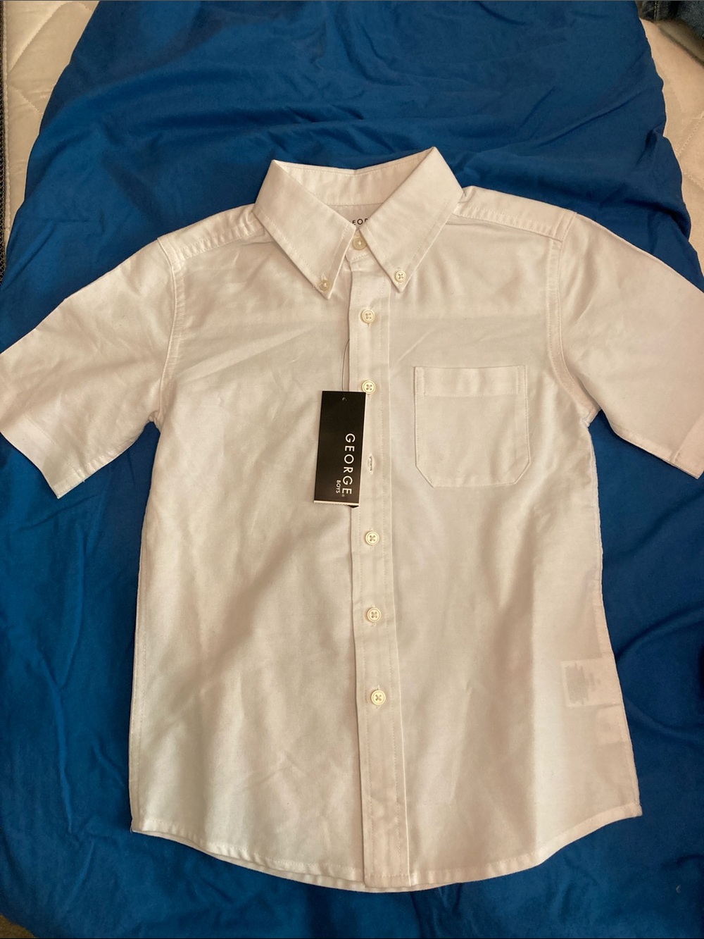 Button Down Shirt